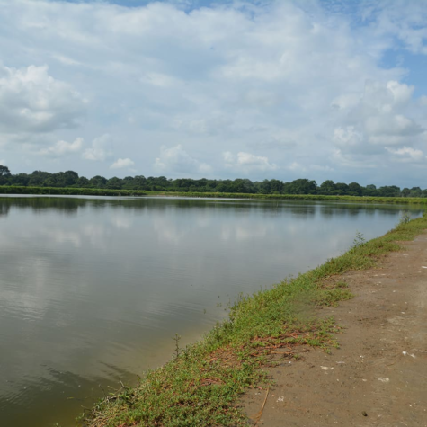 image 30 (1)